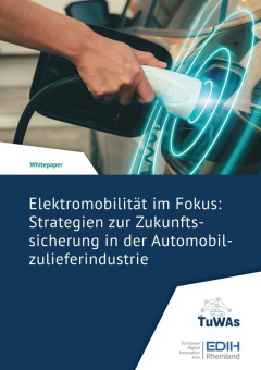 Elektromobilität: Zukunftssicherung für Automobilzulieferer im Strukturwandel