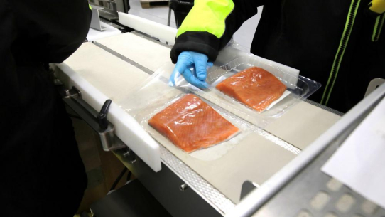 BIZERBA auf der Seafood Expo Global 2026: Inspektions- und Kennzeichnungslösungen für sichere und effiziente Seafood-Produktion