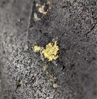 Gold Terra legt nach: Bis zu 18,94 g/t Gold beeindrucken erneut