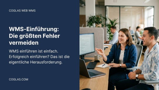 WMS-Einführung: Die größten Fehler vermeiden (+ Checkliste)