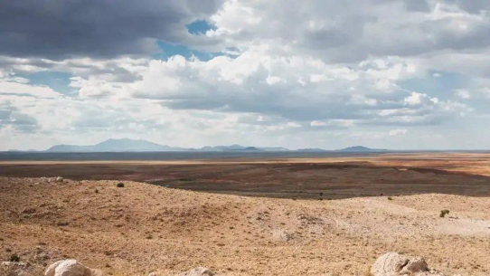 Schatzsuche im Elephant Country: Prismo Metals stößt in Arizona auf die Spur eines Giganten