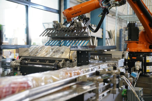 Automatisierte Verpackungslinien & Palettierungsanlagen für Pharmaproduktion
