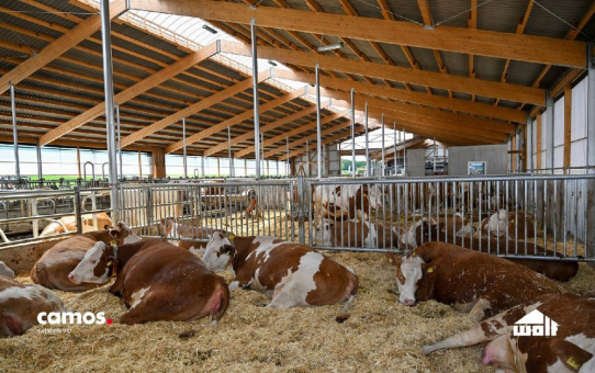 Komplexität im Griff: Wie Wolf System seinen Angebotsprozess standardisiert und skaliert