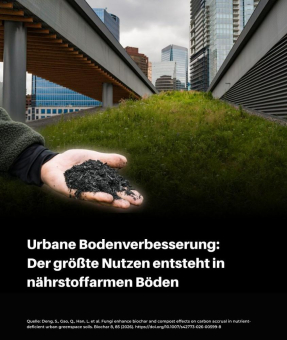 Pflanzenkohle für klimaresiliente Städte: Studie belegt Vorteile für urbane Böden, Stadtbegrünung und langfristige CO₂-Speicherung
