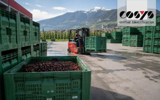 Wenn Paloxen fehlen: Warum Engpässe die Ernte ausbremsen