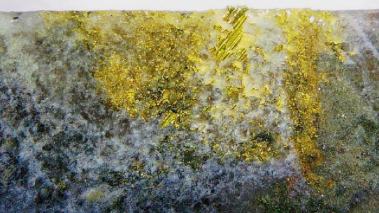 Emperor Metals: Goldprojekt Lac Pelletier vor nächstem Entwicklungsschub
