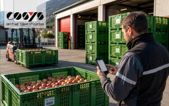 Paloxen rechtzeitig zur Ernte bereitstellen – so gelingt es