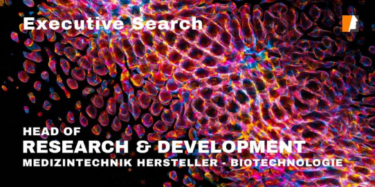 Medizintechnik für moderne Chirurgie: Head of R&D für Wundmanagement und Adhäsionsprävention gesucht