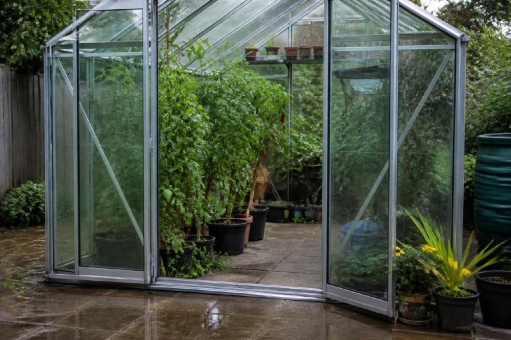 Vegetationsperiode erreicht 2024 mit rund 248 Tagen einen Höchstwert – seit 1961 hat sie sich in Deutschland um mehr als 26 Tage verlängert