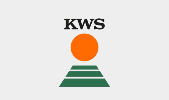 KWS Saat SE & Co. KGaA | Top Down Healthcheck: Voller Systemüberblick in Sekunden für globale MuleSoft API Landschaften