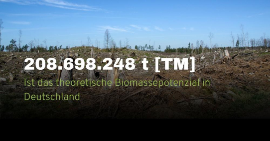 Biomasse neu denken: Regionale Stoffströme als Quelle für Energie und wertvolle Rohstoffe